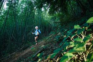 BIB: 
                            <button type="button" onclick="openModal(28124893)" class="btn btn-primary btn-sm float-right btn-popup" data-toggle="modal" data-target=".modal-high-quality">
                        <i class="fas fa-shopping-cart"></i> Add to Cart
                    </button>
                                            <button type="button" onclick="isThisMe(28124893, true)" class="btn btn-success btn-sm float-right btn-popup btn-isme hidden" data-toggle="tooltip" data-placement="bottom" title="นี่คือรูปของคุณใช่ไหม คลิกที่นี่เพื่อเอาเข้าอัลบั้ม">
                        <i class="fas fa-plus"></i> Add to album
                    </button>
                    <button type="button" onclick="isThisMe(28124893, false)" class="btn btn-warning btn-sm float-right btn-popup btn-isnotme hidden">
                        <i class="fas fa-ban"></i> Remove from album
                    </button>